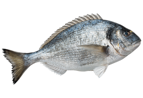 Wild Caught Pacific Cod Fillet Portions, 1 lb (Frozen)