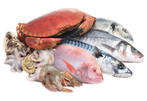 Essential Atlantic Salmon Portions 2-portions